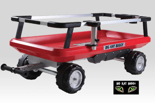 Big Kat Buggy