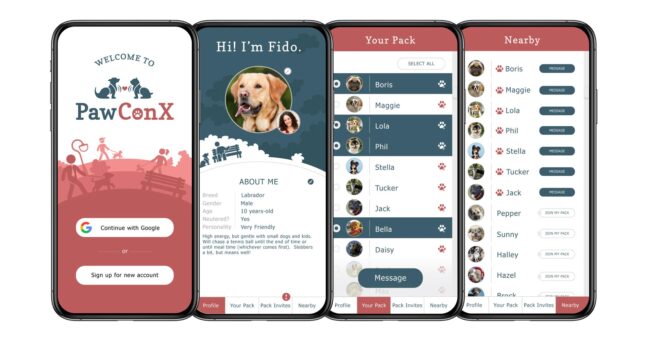 phone app development