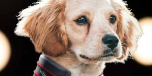 electronic product manufacturing